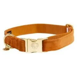 Kentucky Dogwear Hundehalsband Kentucky Velvet (Hund), Halsband + Leine