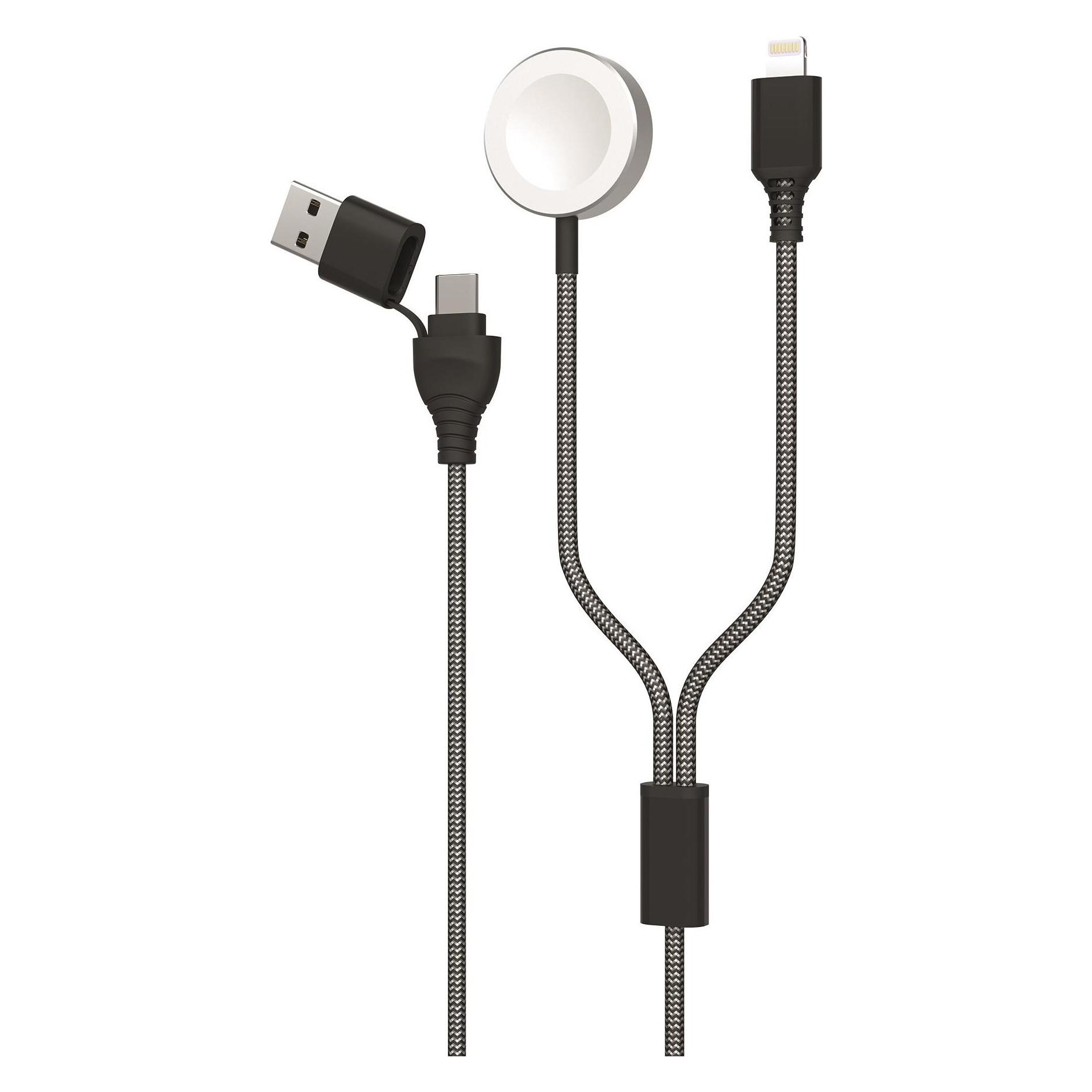 2GO 2in1 USB/Type C Ladekabel f. Watch & Smartphone 1,8m sw (1.80 m) (797385)