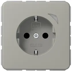 Jung SCHUKO Steckdose 16 A 250V BT CD 1521 S PT