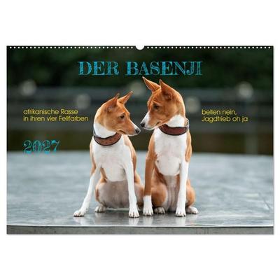 Der Basenji (Wandkalender 2027 DIN A2 quer), CALVENDO Monatskalender