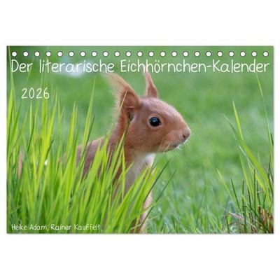 Der literarische Eichhörnchen-Kalender (Tischkalender 2026 DIN A5 quer), CALVENDO Monatskalender