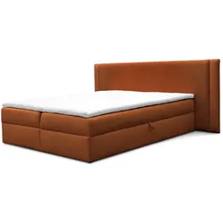 BOXBETT Cedric In Magic Velvet