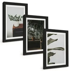 BILDER SET 3er Set - 20x30 cm Schwarzer Rahmen - Rustikale Topfpflanzen