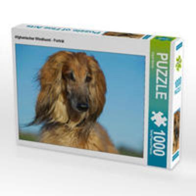 CALVENDO Puzzle Afghanischer Windhund - Porträt 1000 Teile Lege-Größe 64 x 48 cm Foto-Puzzle Bild von Sigrid Starick