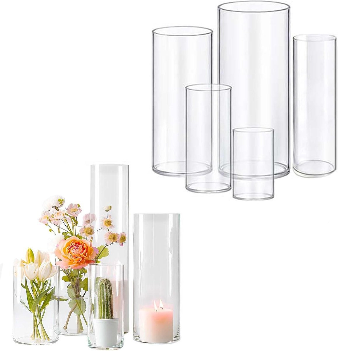 Glazen Cilinder Vaas - Helder - Decoratieve Flesvaas