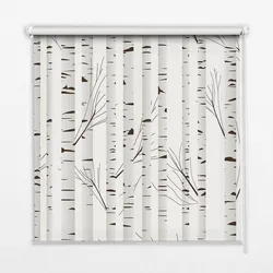 INNENROLLO - Fensterrollo - Rollo - 100x140 cm - Birken
