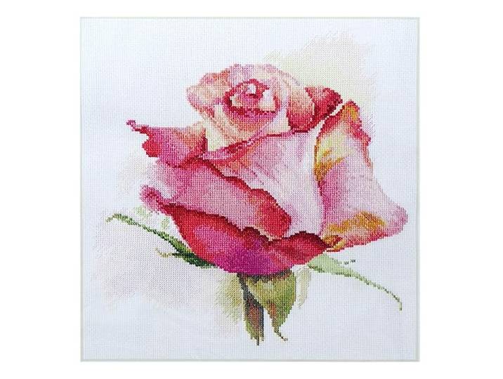 Alisa Kruissteek Kit - De Adem van Rose Charm