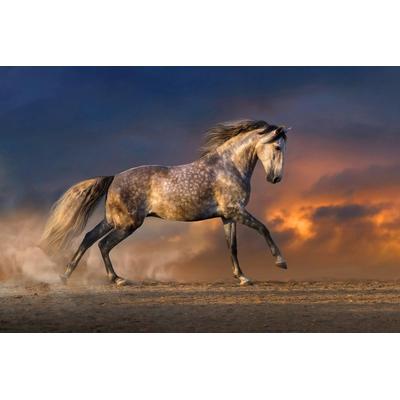 Papermoon "Pferd"
