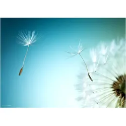 CoverYourDesk, Unterlage, Schreibtischunterlage Pusteblume