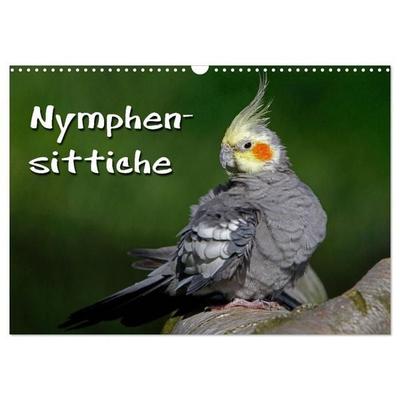 Nymphensittiche (Wandkalender 2027 DIN A3 quer), CALVENDO Monatskalender