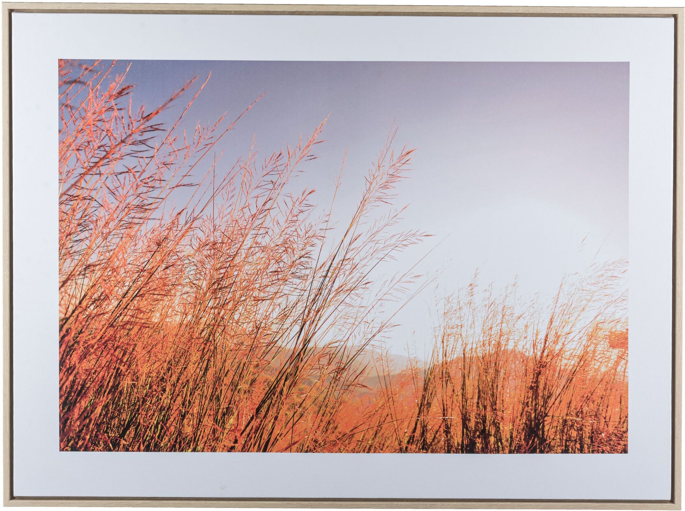 Bild mit Rahmen CREATIV HOME "Wiese", beige (farbe rahmen: hellbraun, farbe bild(er): natur), B:80cm H:60cm T:2,5cm, Canvas, Kunststoff, Bilder, Bild mit Rahmen, mit besonderer Lichtstimmung