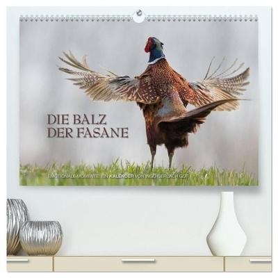 Emotionale Momente: Die Balz der Fasane / CH-Version (hochwertiger Premium Wandkalender 2027 DIN A2 quer), Kunstdruck in Hochglanz