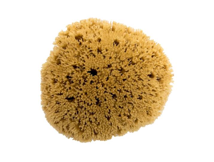 BELLINI BA-SAG12 Honeycomb No. 12 Naturschwamm