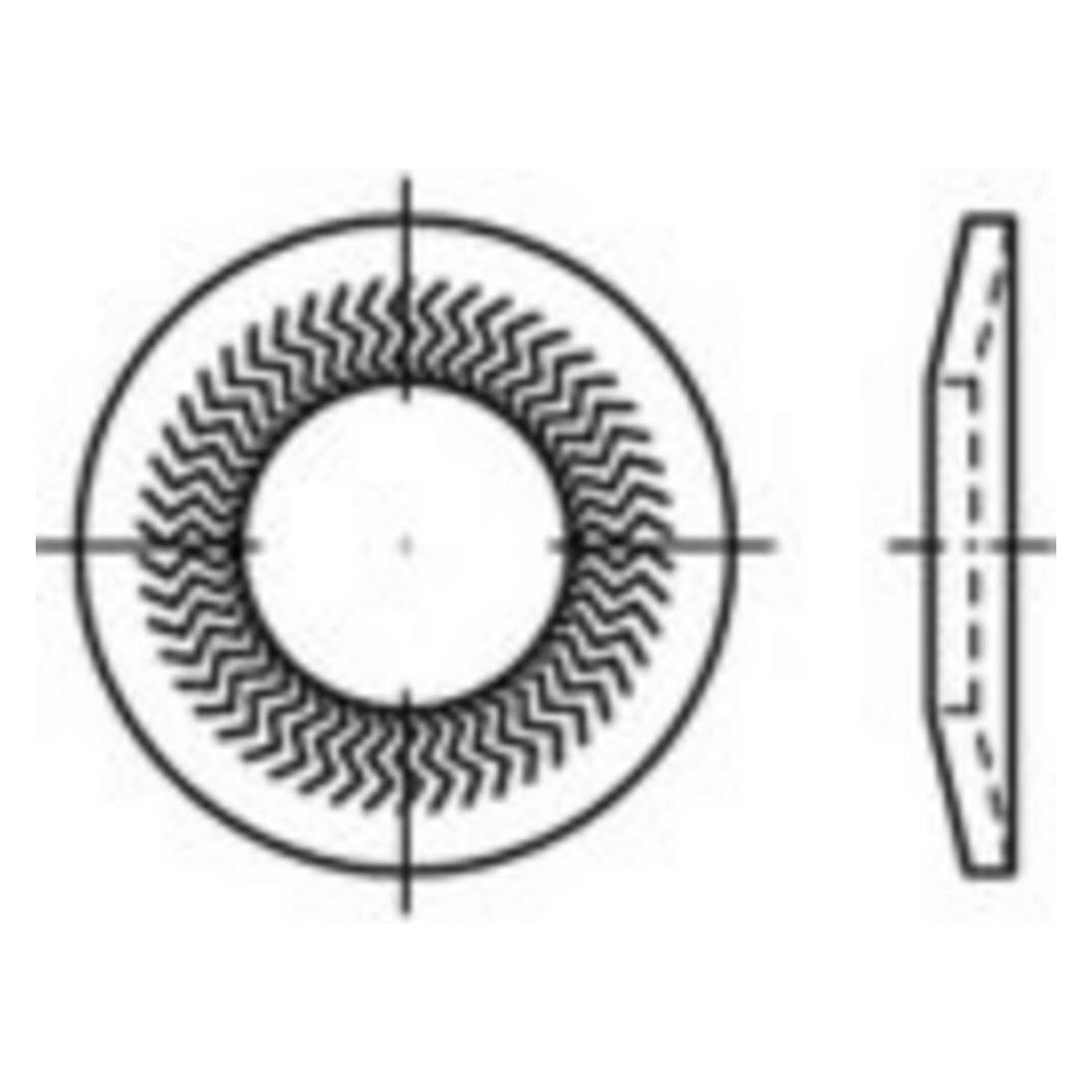 Conrad Components Unterlegscheiben (881240300240000)