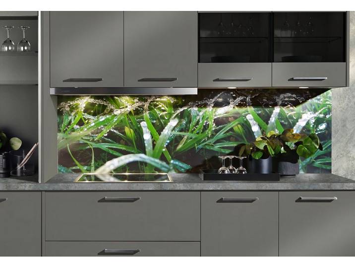 Express Küchen Küchenrückwand Regenwald , als Spritzschutz geeignet, mit Schutzlack versehen, (1-tlg), in verschiedenen Breiten