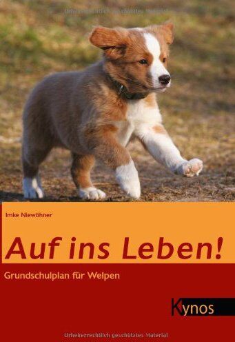 Imke Niewöhner - Auf ins Leben!: Grundschulplan für Welpen - Preis vom 17.10.2026 19:25:27 h