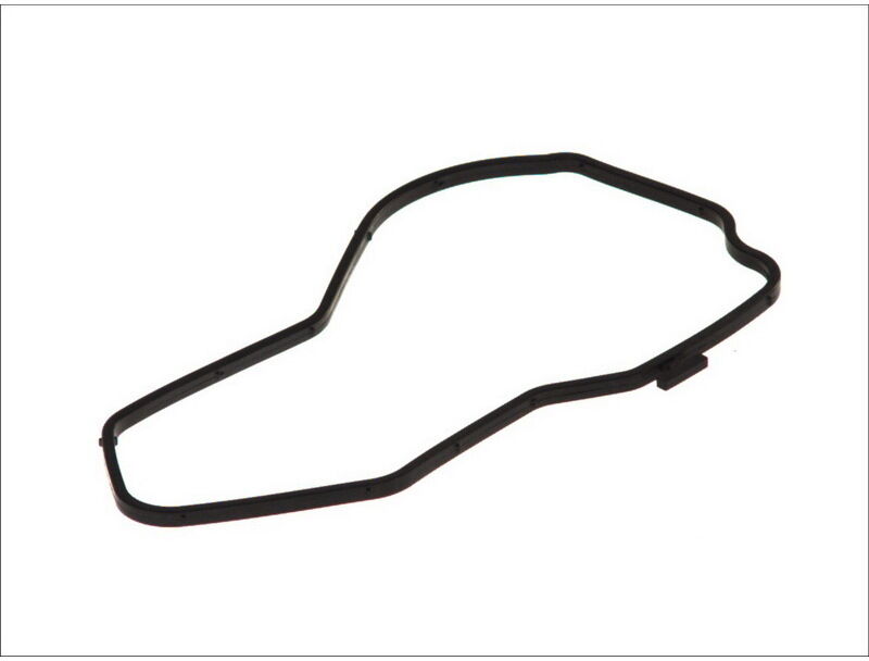 Dichtung, Wasserpumpe DT Spare Parts 1.24217