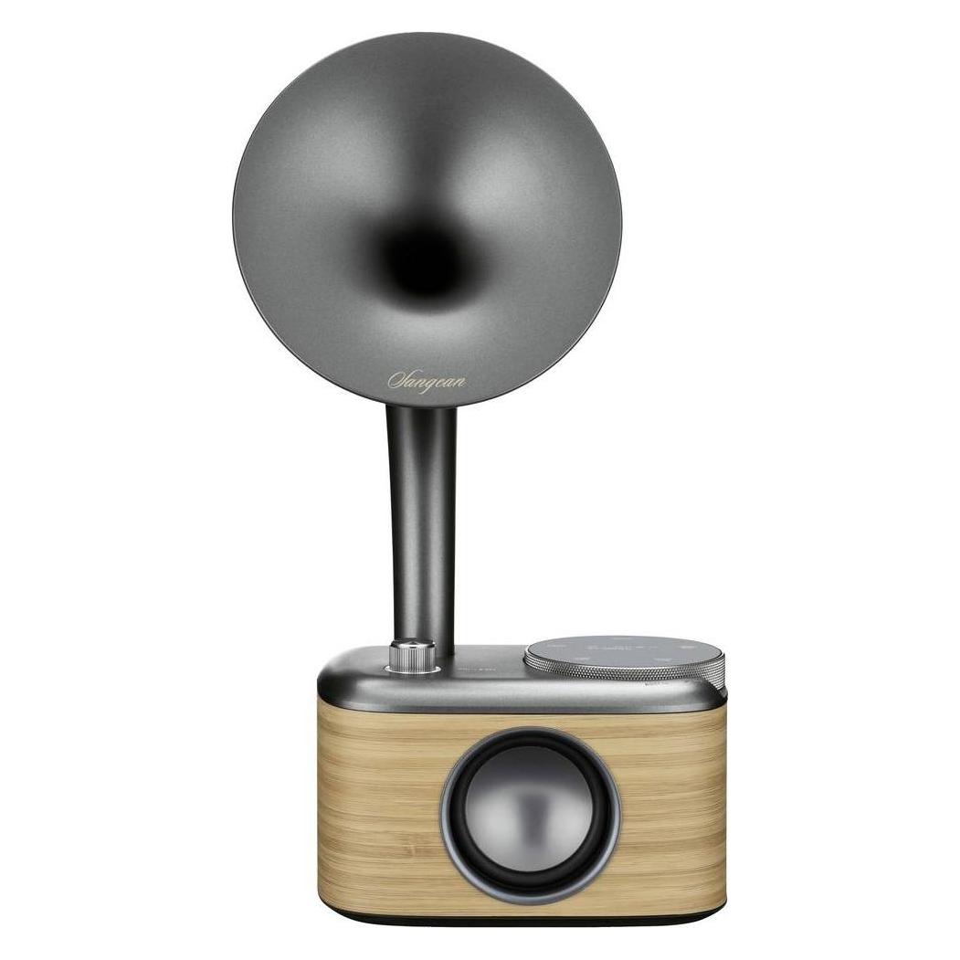 Sangean CP 100D (DAB, DAB+, FM, Bluetooth) (A500467)