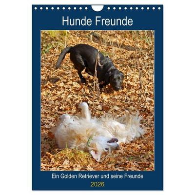 Hunde Freunde (Wandkalender 2026 DIN A4 hoch), CALVENDO Monatskalender