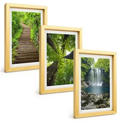 BILDER SET 3er Set - 20x30 cm Goldrahmen - Pfad Wald Wasserfall Vegetation