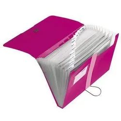 Herlitz Fächermappe easy orga to go 11217114 A4 12Fächer PP beere