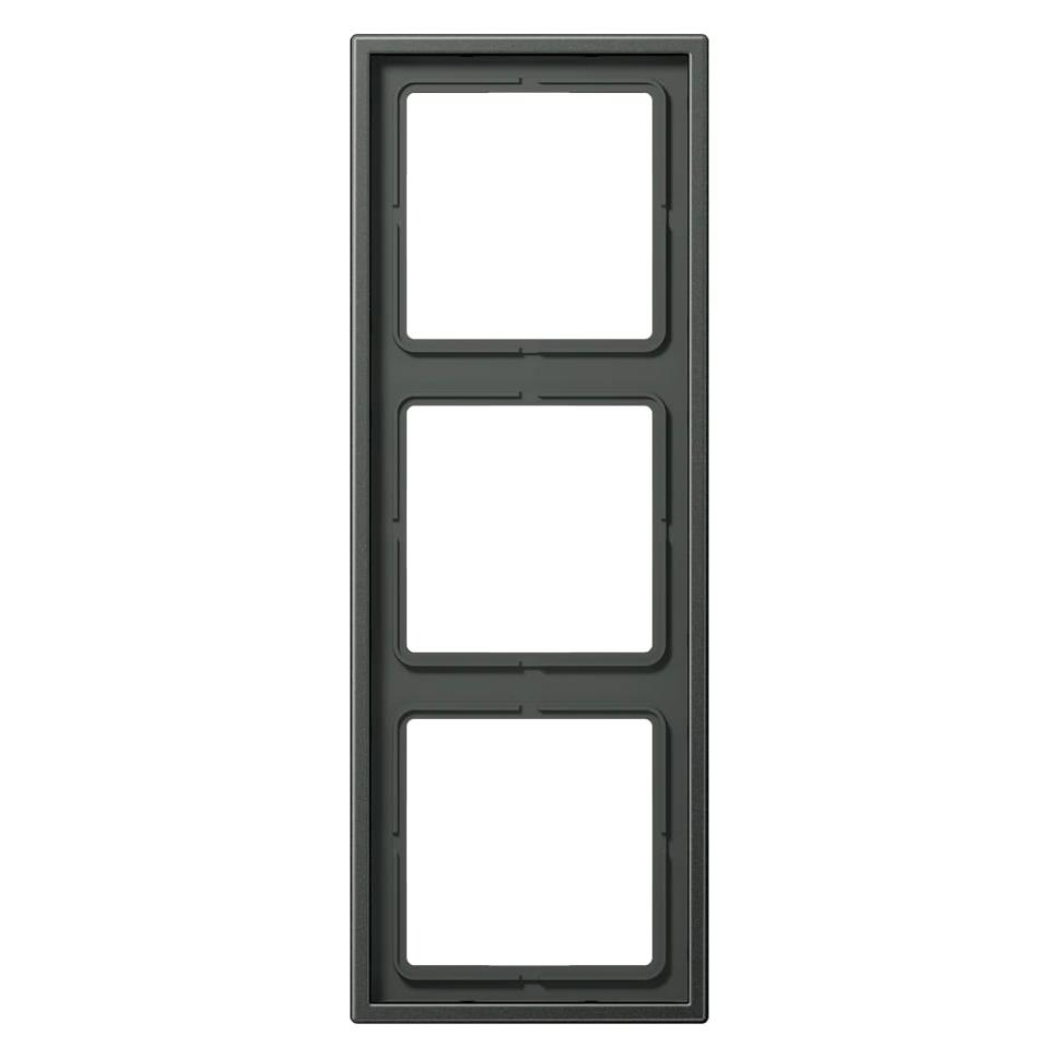JUNG Rahmen (AL2983AN)