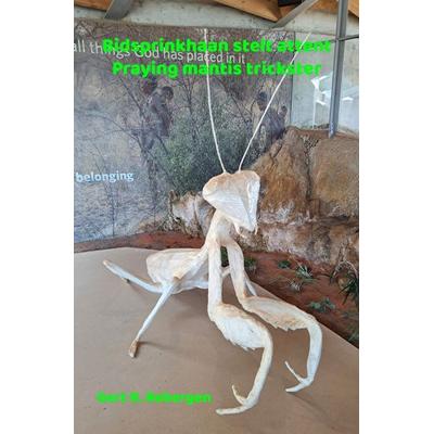 Bidsprinkhaan stelt attent - Praying mantis trickster, Taschenbuch von Gert R. Rebergen, Brave New Books, 978-94-6531-339-9