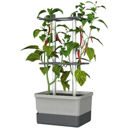 Gusta Garden, Blumentopf, Charly Chili (34.50 x 27.50 x 68.70 cm)