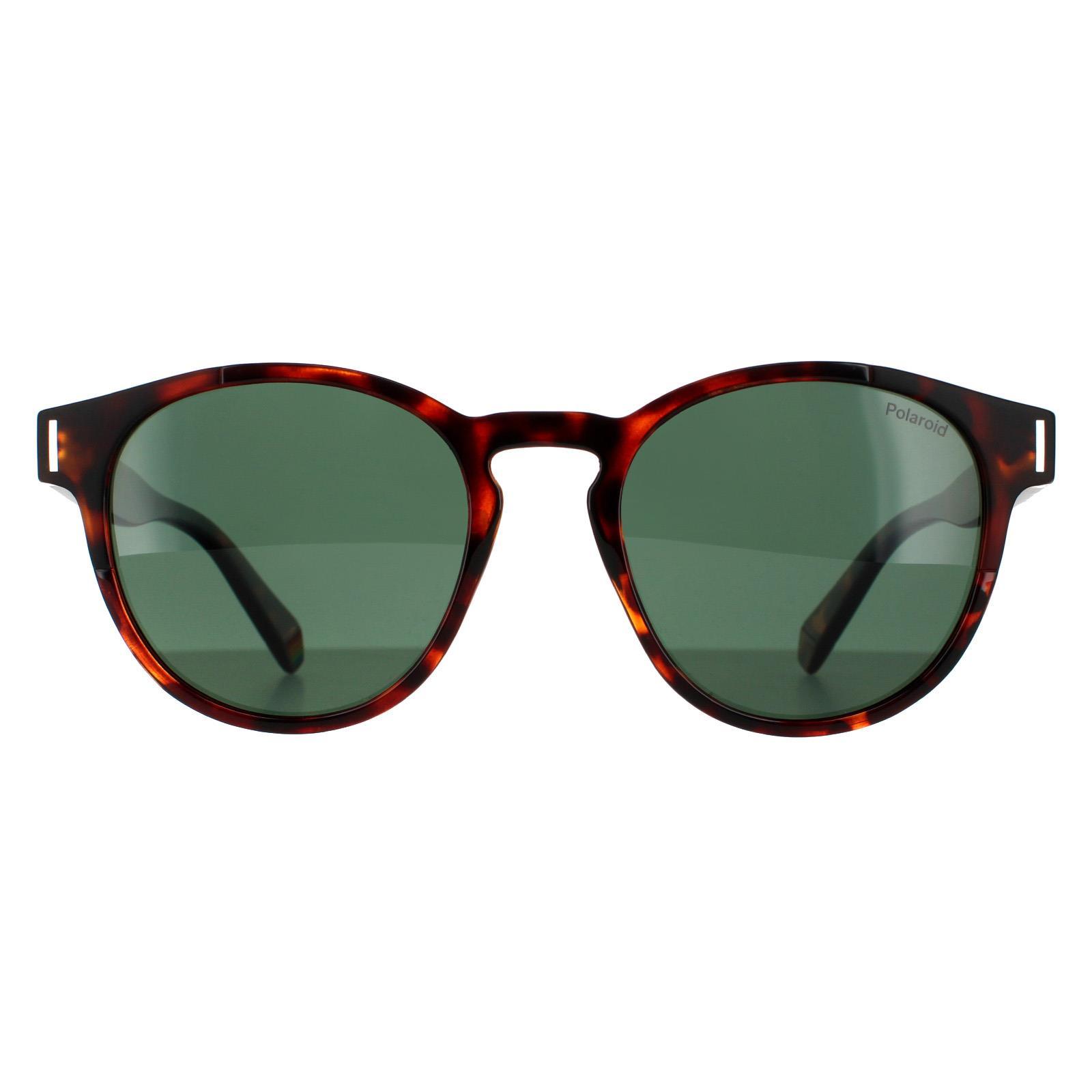 Polaroid Runde Unisex dunkel Havanna grün polarisierte Sonnenbrille