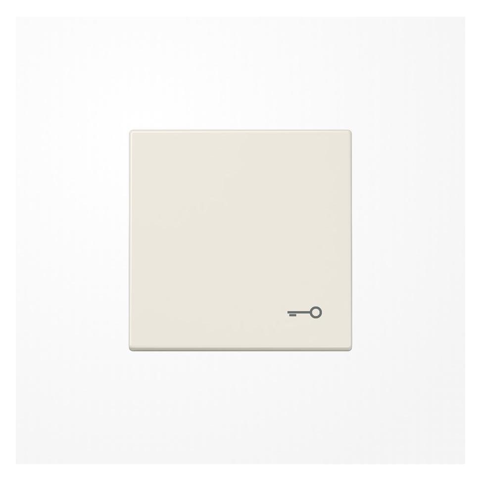 JUNG Wippe Schalter LS ws glz Schl/Tür LS990T (LS990T)