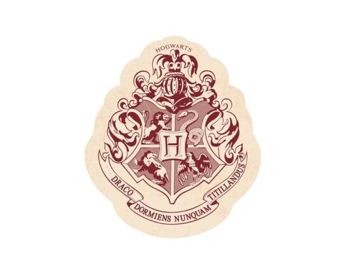 Harry Potter sierkussen gevormd
