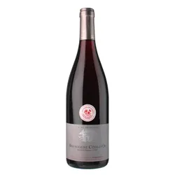 Bourgogne Cote d'Or 2022 - Domaine Pansiot