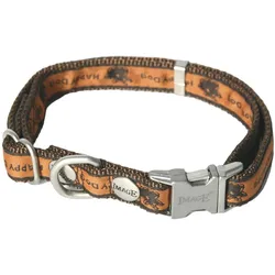Image Happydog (Hund, Spazieren), Halsband + Leine