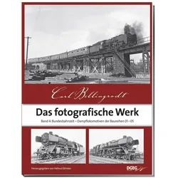 Das fotografische Werk 04, Ratgeber von Carl Bellingrodt