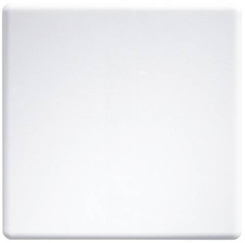Eltako W-F2T55E-wg- Funk Tasterwippe