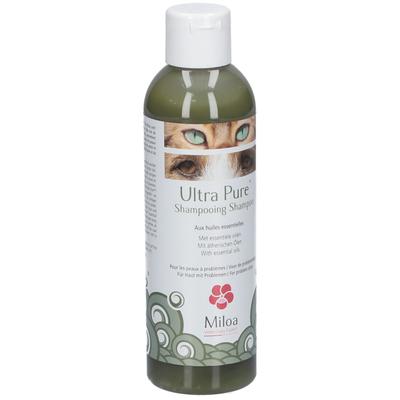 Miloa Ultra Pure 200 ml Shampoo