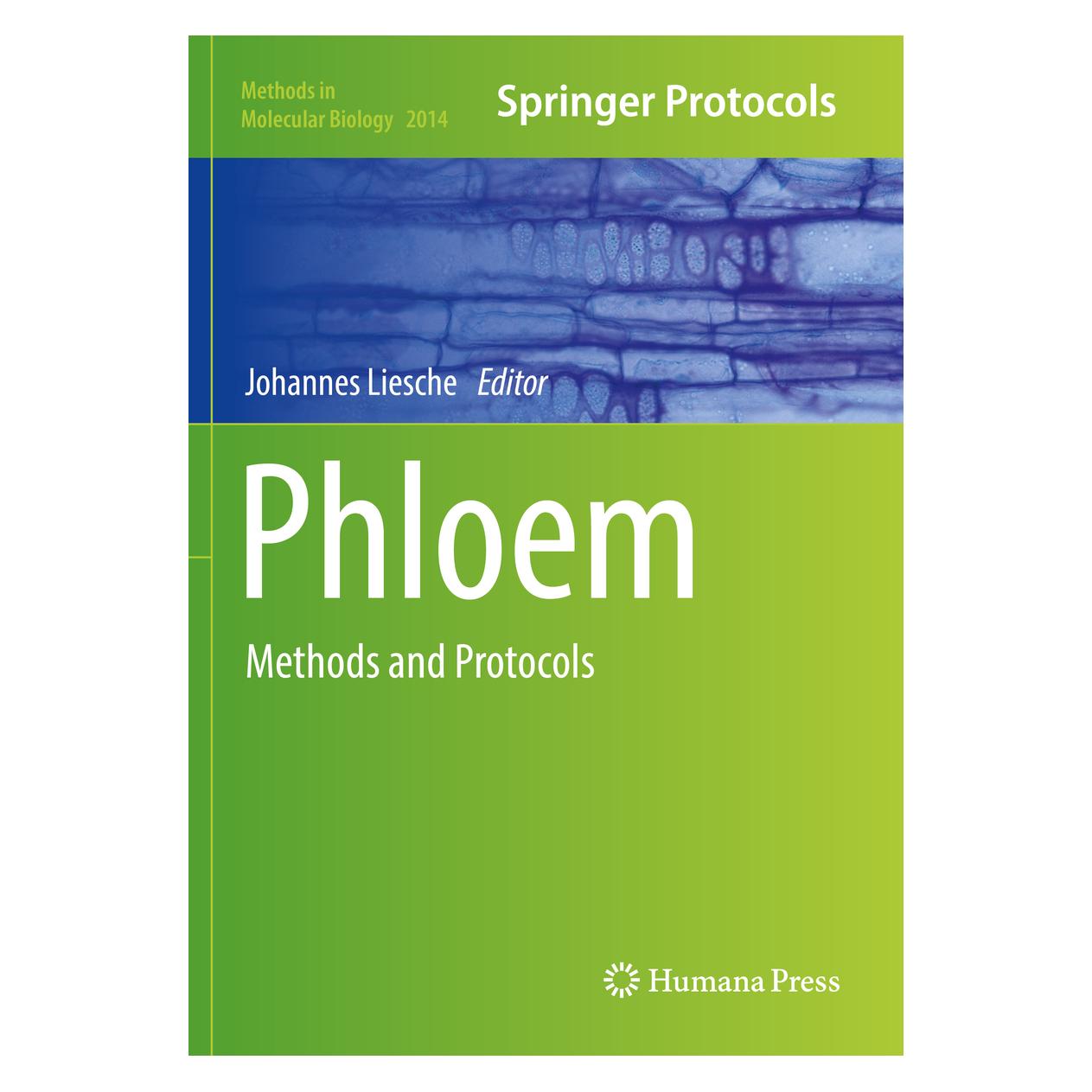 Springer Phloem (Englisch, Softcover, Johannes Liesche) (41264943)