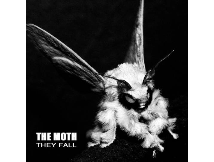 They Fall