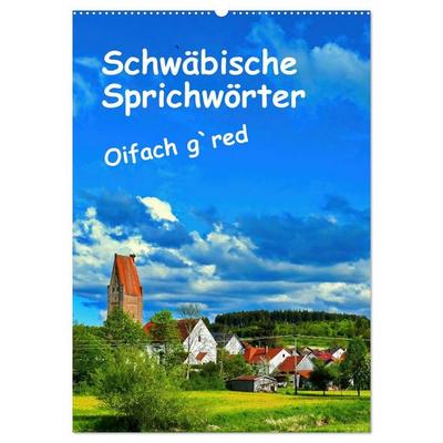 Schwäbische Sprichwörter Oifach g`redt (Wandkalender 2027 DIN A2 hoch), CALVENDO Monatskalender