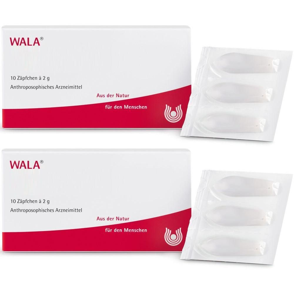 Mercurialis COMP.Suppositorien 2x 2x10x2 g Suppositorien