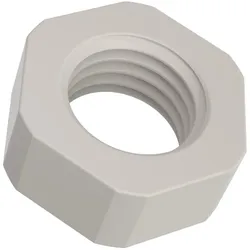 Lapp Zubehör PA-GEGENMUTTER M6X0,75 LGY 51730211