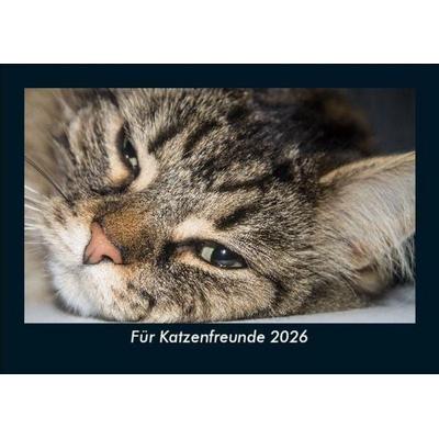 Für Katzenfreunde 2026 Fotokalender DIN A5