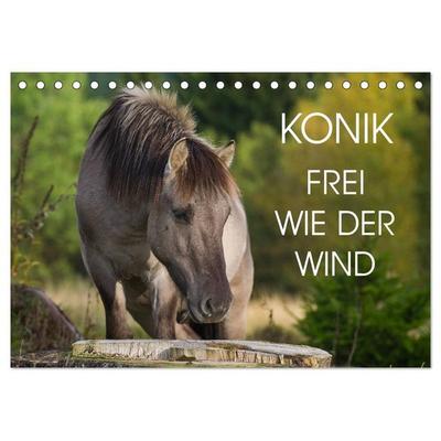 Konik - Frei geboren (Tischkalender 2027 DIN A5 quer), CALVENDO Monatskalender