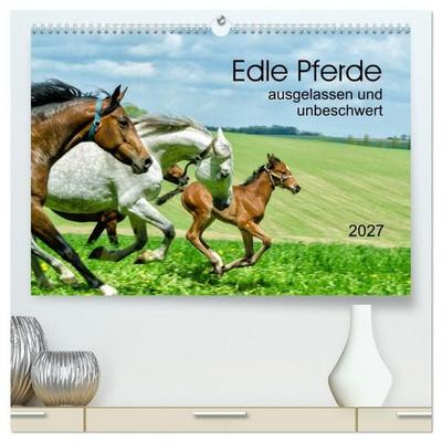Edle Pferde - ausgelassen und unbeschwert (hochwertiger Premium Wandkalender 2027 DIN A2 quer), Kunstdruck in Hochglanz