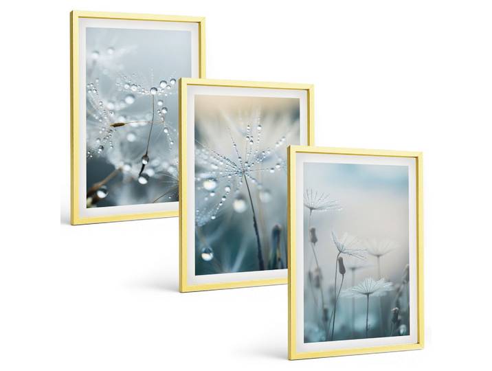 BILDER SET 3er Set - 40x60 cm Goldrahmen - Tautropfen auf Löwenzahn