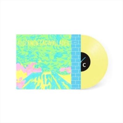 Trying Not To Have A Thought - Algernon Cadwallader, Vinyl