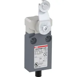 ABB LS21P42B11-U01 Positionsschalter Kunststoff-Gehäuse grau IP67 Stahl-Rollenschwenkhebel verzinkt 1SBV016042R3801 LS21P42B11U01