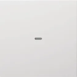Berker 80960289 Abdeckung 1f. Tastsen.-Modul S/B pw