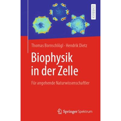 Biophysik in der Zelle, Taschenbuch von Thomas Bornschlögl,Hendrik Dietz, Springer Berlin, 978-3-662-61608-6