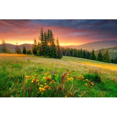 Fototapete PAPERMOON "BLUMEN-WIESE-GEBIRGE NATUR NEBEL GRÜN SONNE BERG HIMMEL", bunt, B:4,5m L:2,8m, Vlies, Tapeten
